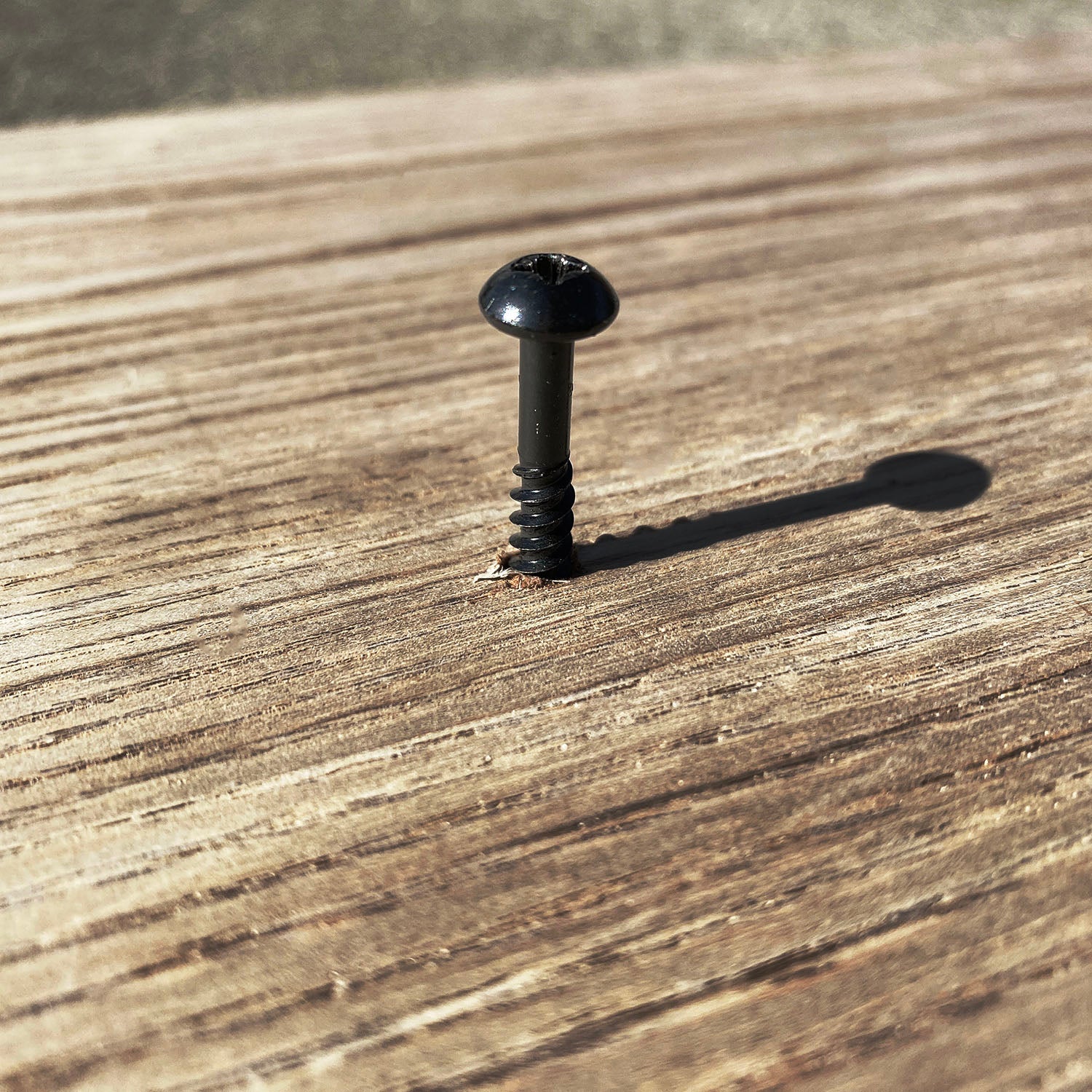 Black Timber Wood Screws for Rafter Bracket Installation (Pack of 200) - Indoor Outdoors