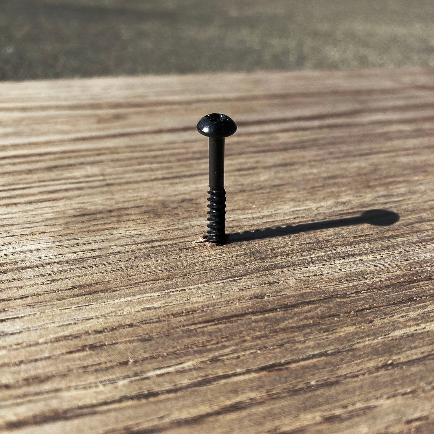 Black Timber Wood Screws for Rafter Bracket Installation (Pack of 200) - Indoor Outdoors
